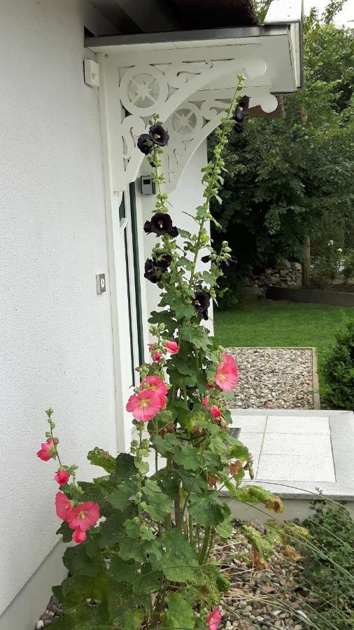 Ferienhaeuser Salzhaff-Romantik Tessmannsdorf Exterior foto